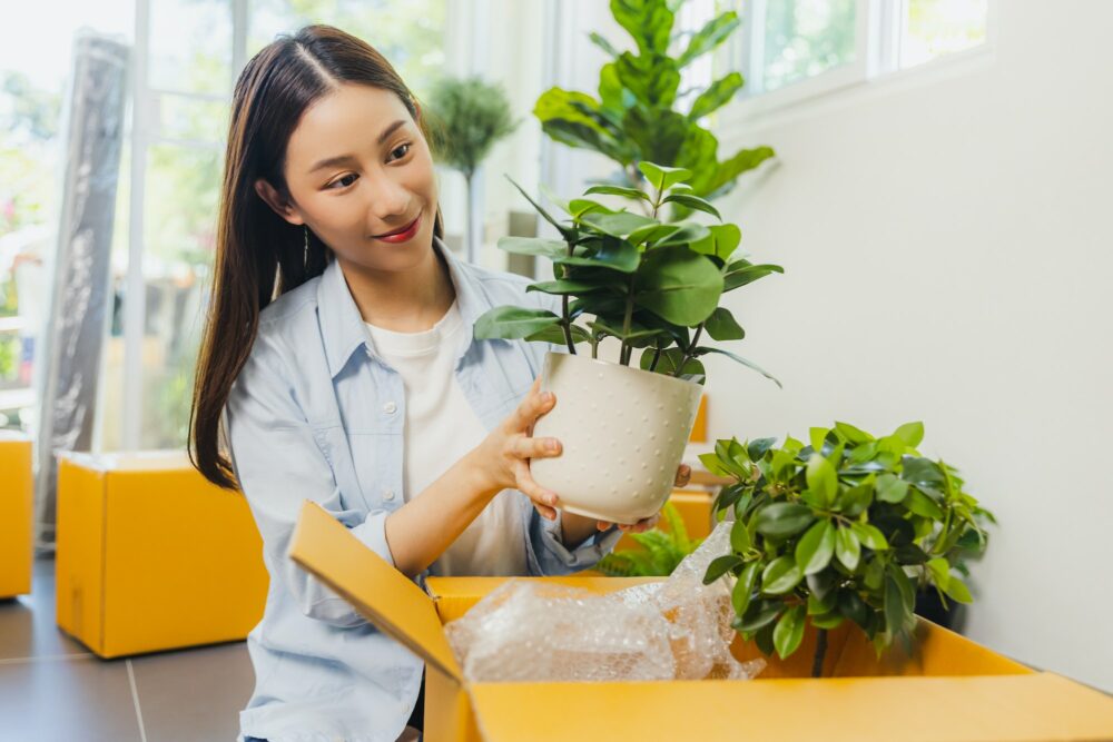 Asian woman check and pack small plant, selling green air purifying tree
